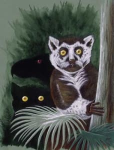 Eyes in the Forest