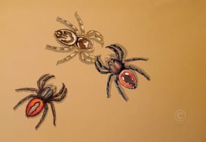Jumping Spiders of Yeon House