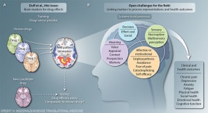 fMRI in drug evaluation