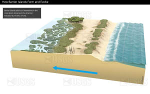 Cross-shore barrier island formation, panel 1