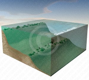 125,000 years ago, shifting baselines