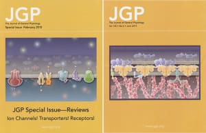 Cover illustrations created for JGP
