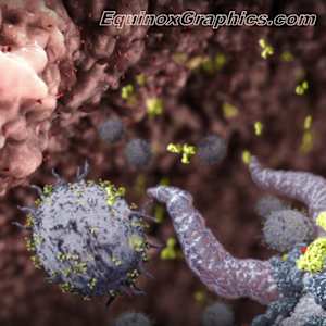 T-cells