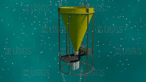 Sediment trap captures foraminifera