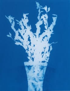 Still Life with Leaves