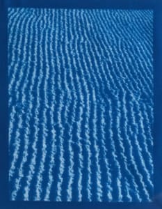 Salt Grooves