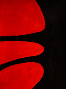 Red_05_-_4L8A0472_xcglqb_5