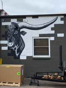 Crashing Bull