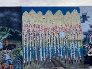 Untitled - aspen trees