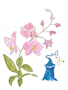 Duwende & Orchid