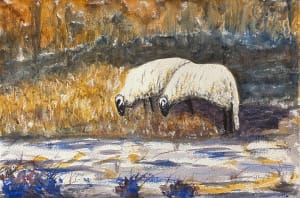 Winter Sheep II
