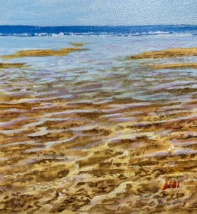Tidal Pool