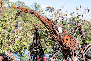 Project Longnecks