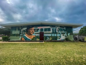 The Pursuit of Justice, Sarah Mae Flemming