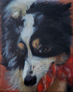 Maxie -Playful Australian Shepherd
