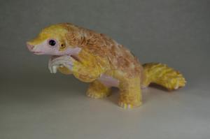 Pretty Pangolin