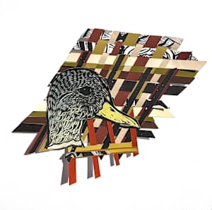 Duck Head