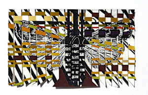 Woven Moth