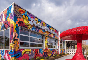 (Untitled) Mellow Mushroom Mural