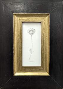 Buttercup BU003