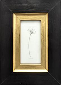 Daisy DA021