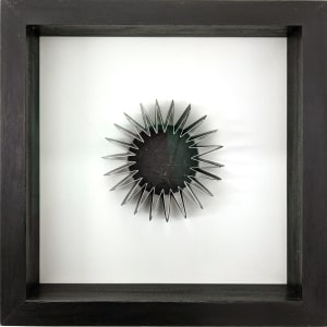Glimpse FPS016
