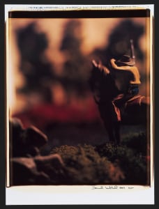 Untitled from the series Wild West