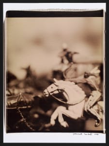 Untitled from the series Wild West