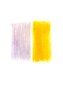 Red Impatiens, Orange Marigold