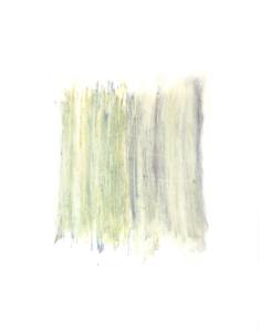 Red and Yellow Poppies