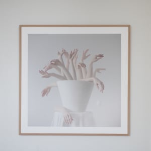 Flowers 50 x 50 cm 1/4