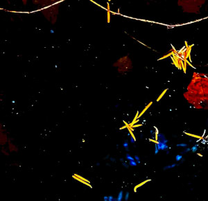 Blue, Yellow, Red