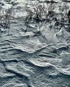 Snow Field