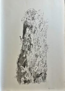 TREE MAPS