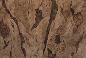 FOREST MAP MURAL 9