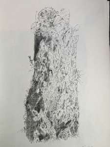 TREE MAPS #18