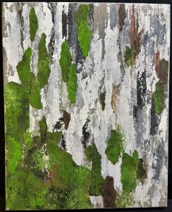 FOREST SEEN(s)