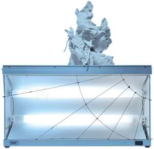 pale grass blue (corium series)