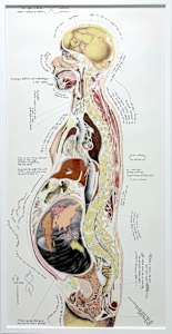 Mothertongue