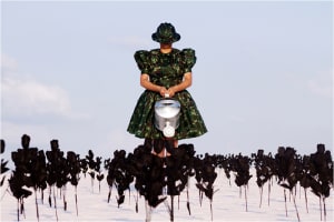 Os Jardins Pensus da América