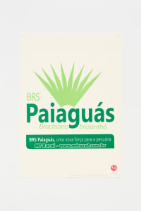 Paiaguás