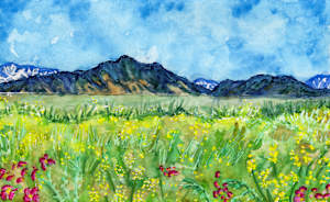 Yellow, Blue and Flatirons Too