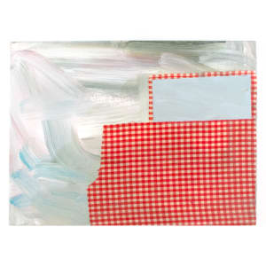 Gingham 10: Red Landscape