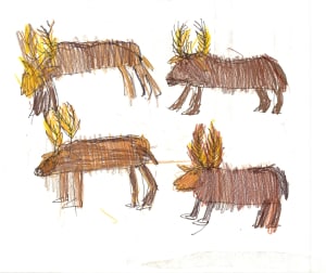 Untitled 14