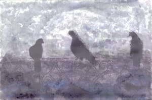 Untitled 16