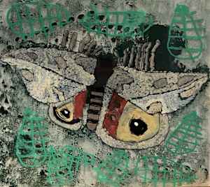 Moth