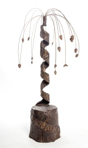 Renaissance (Pinus strobus)