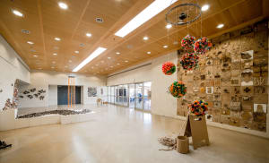 Collaborative Ecological Art Show