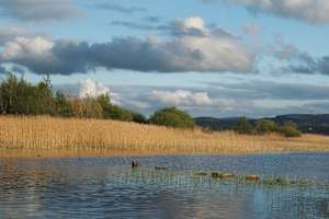 Stepping Stones on Lough Derg