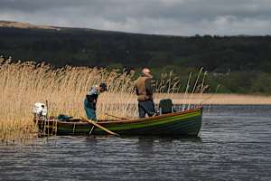 Looking for the fish